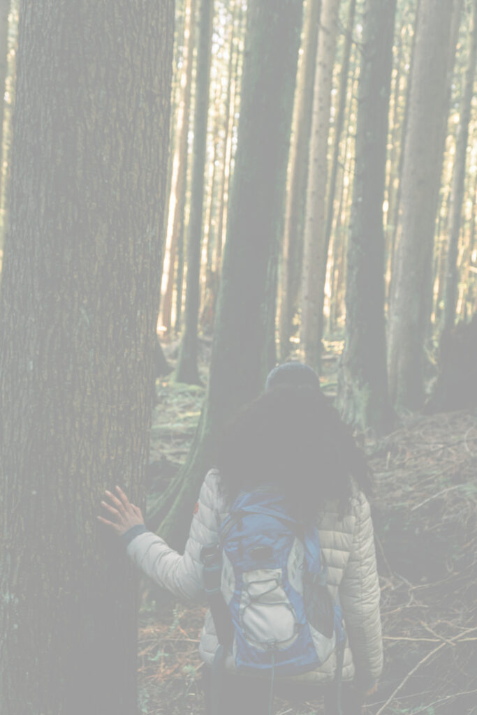 Ma vie s’enracine – Fin février 2026.